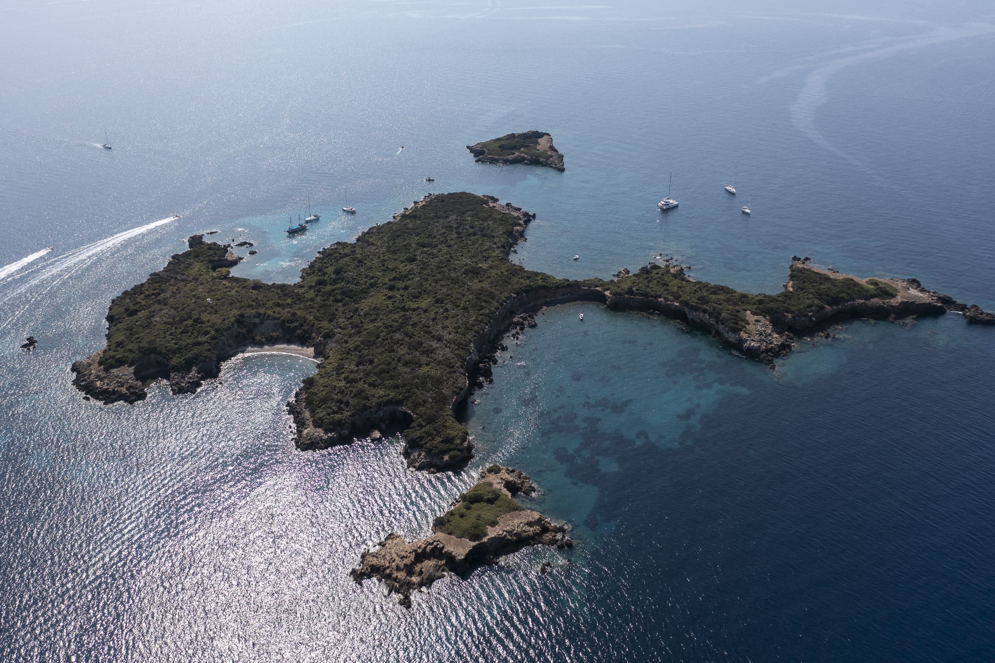 formicula-from-drone