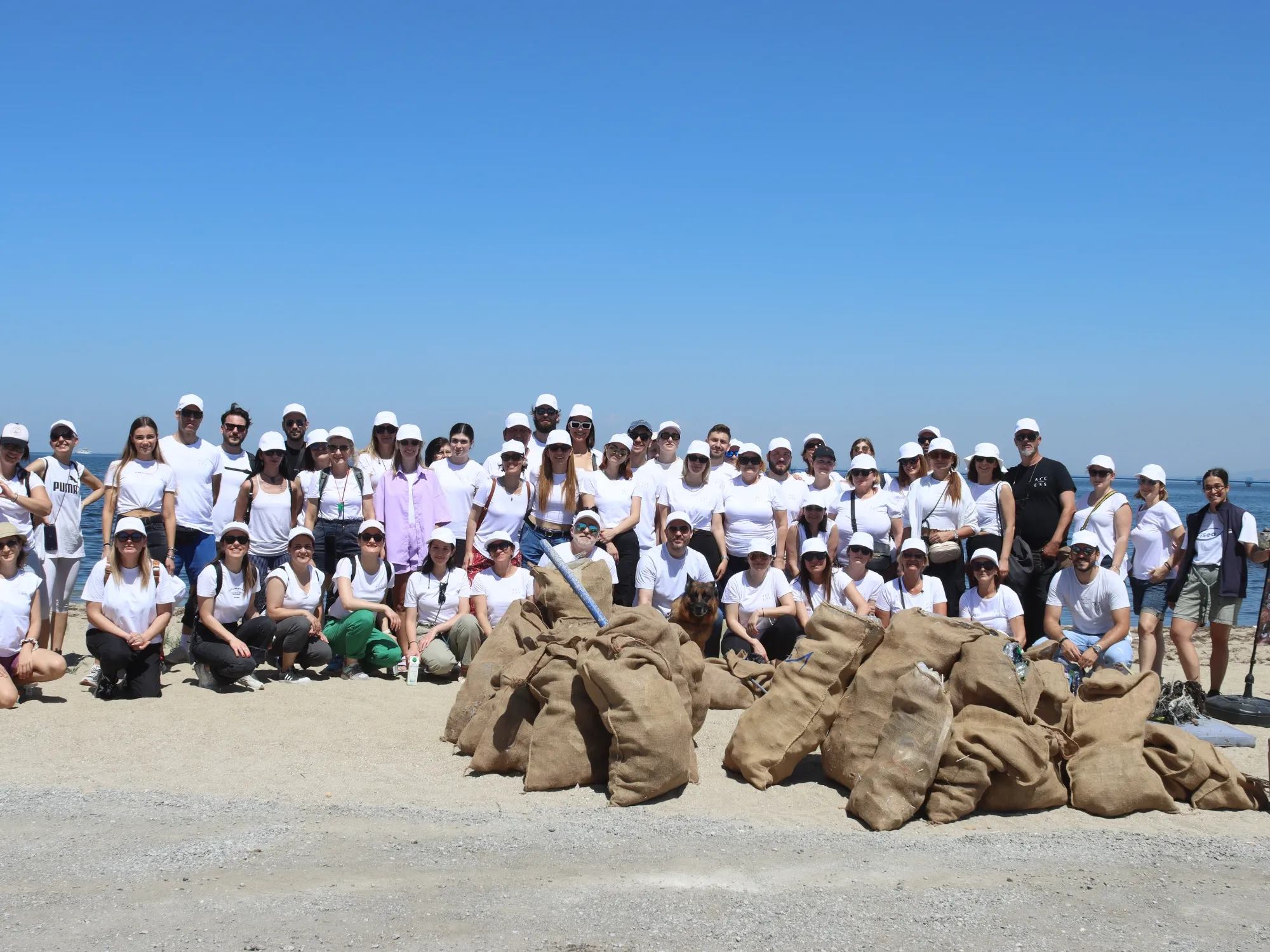 beach-cleanup