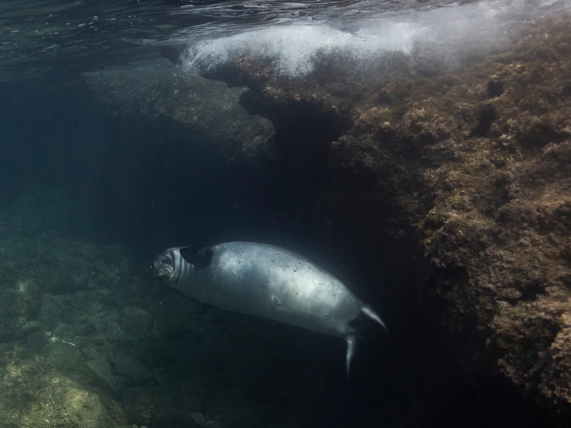 inner-ionian-sea-thubnail