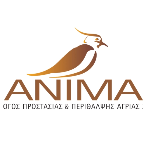 ANIMA