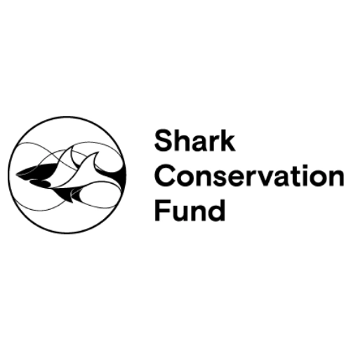 Shark Conservation Fund