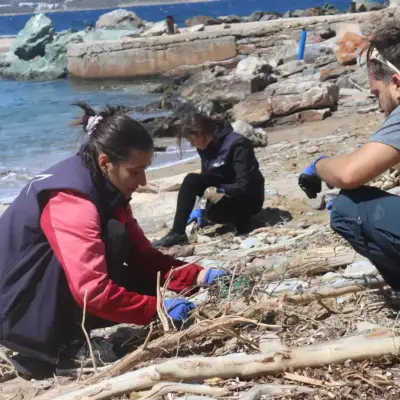 join-us-in-amvrakikos-beach-cleanups