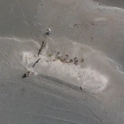 join-us-in-amvrakikos-drone-surveus-for-fishers-monitoring