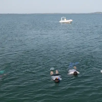 join-us-in-amvrakikos-snorkelling-surveus-for-biodiversity-monitoring