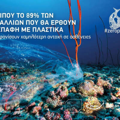 Σημαία: Κοράλλια