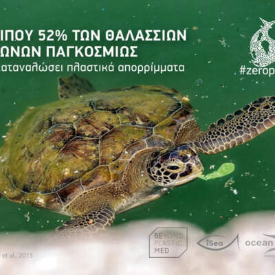 Σημαία: Θαλάσσιες χελώνες