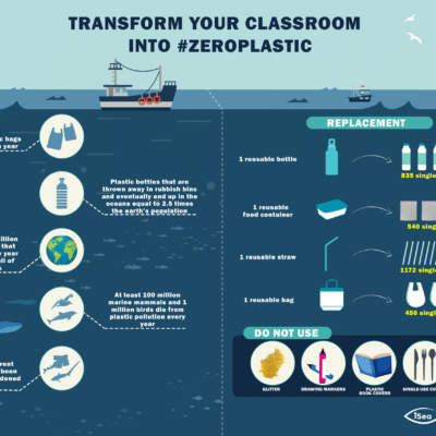Poster: transform your classroom in #zeroplastic