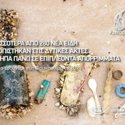 Σημαία: Απορρίματα