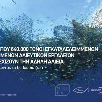 Σημαία: Δίχτυα