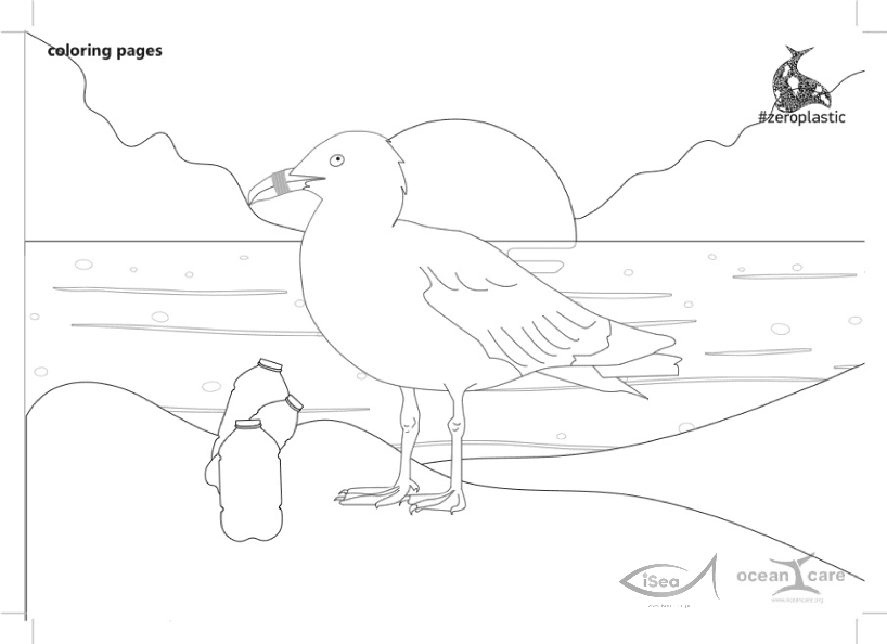 Drawings: seagull