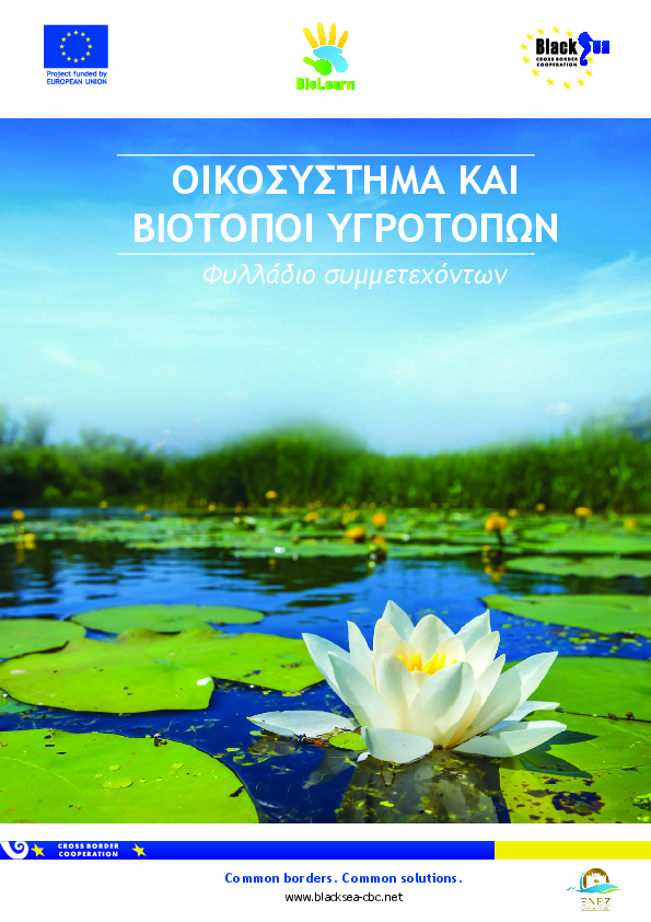 Wetland Ecosystem and Habitat