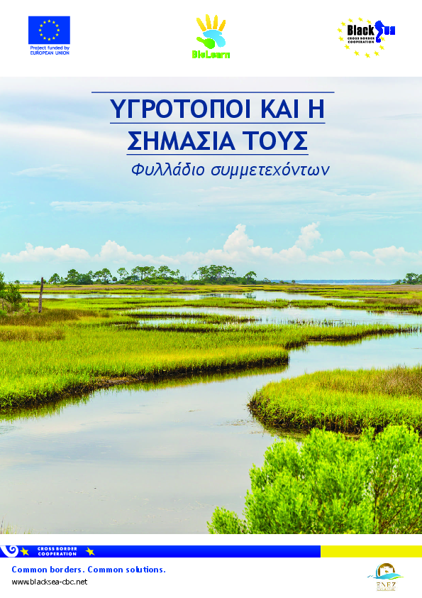 Wetlands and their Importance