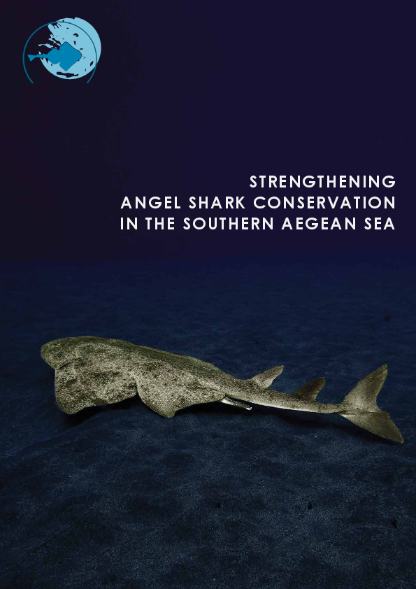 Strengthening angel shark conservation in the southern Aegean Sea