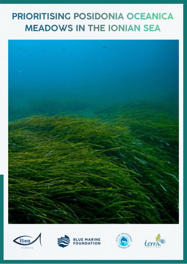 Prioritising Posidonia Oceanica meadows in the Ionian Sea - Laymans