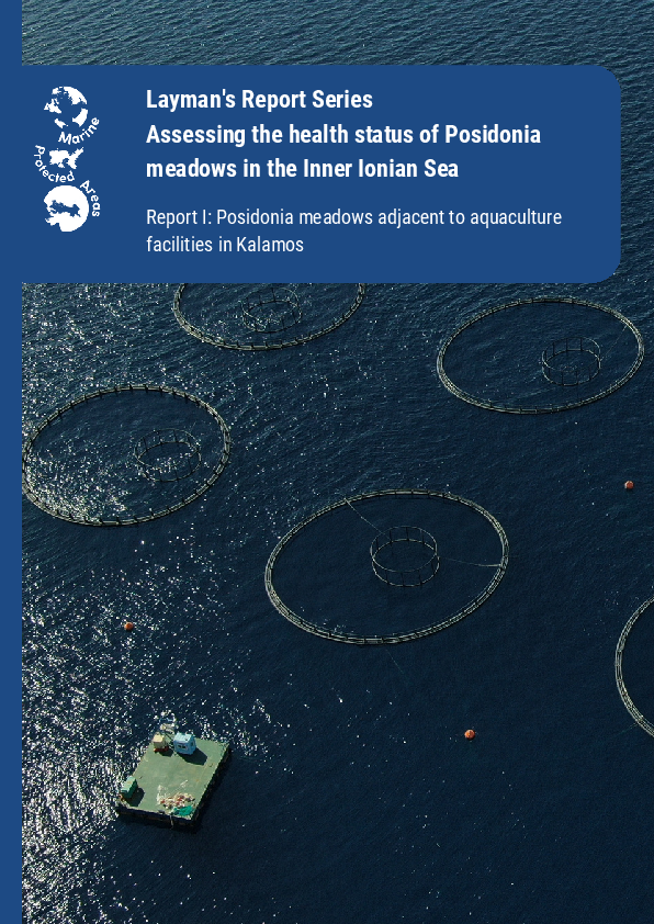 Assessing the health status of Posidonia - Report I