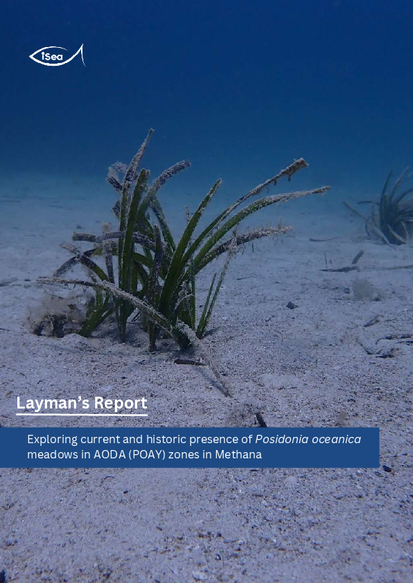Exploring current and historic presence of Posidonia oceanica meadows in AODA zones in Methana