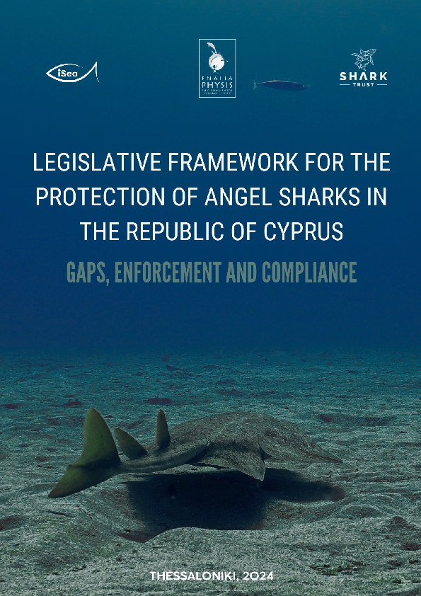 Legislative framework for the protection of angel sharks in the republic of Cyprus