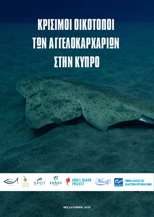 Κρίσιμα ενδιαιτήματα για τους αγγελοκαρχαρίες στην Κύπρο