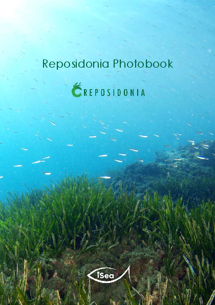 Reposidonia Photobook