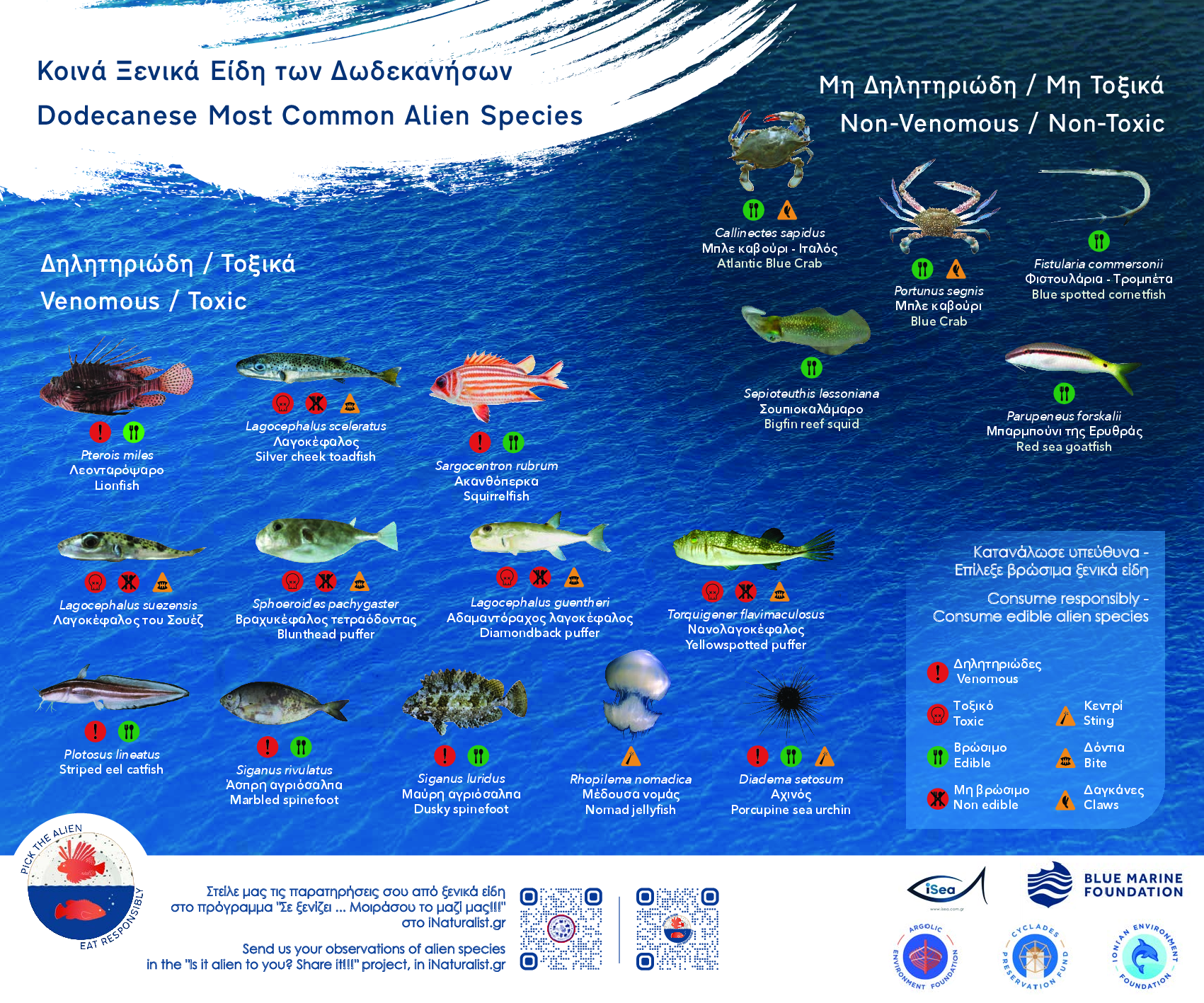 Dodecanese nost common alien species