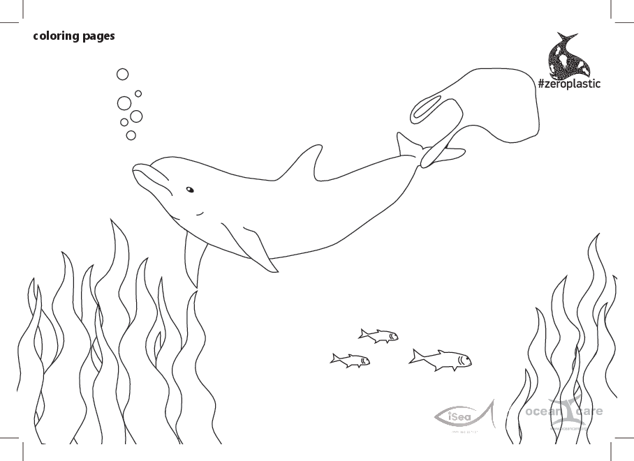 Drawings: dolphin