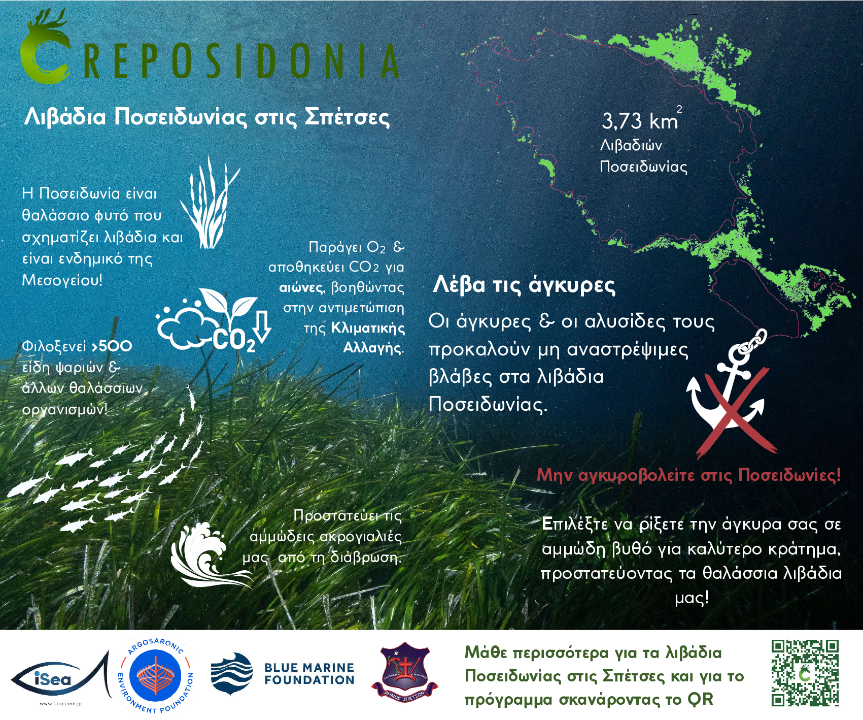REPOSIDONIA