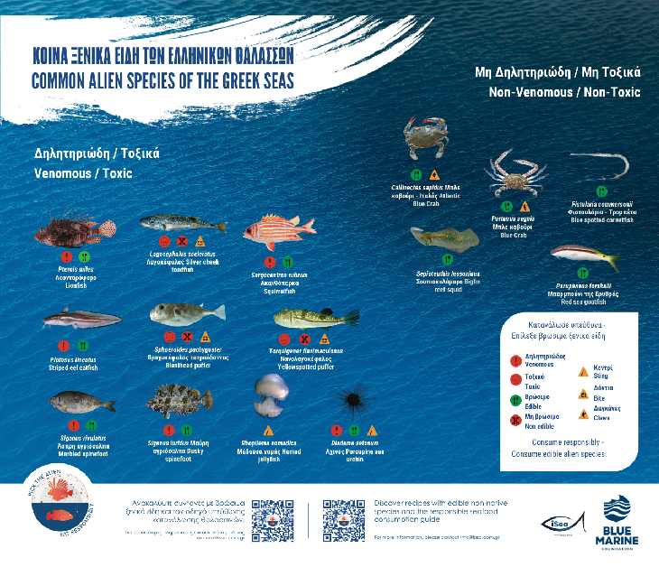 Ξενικά Eίδη των Ελληνικών Θαλασσών