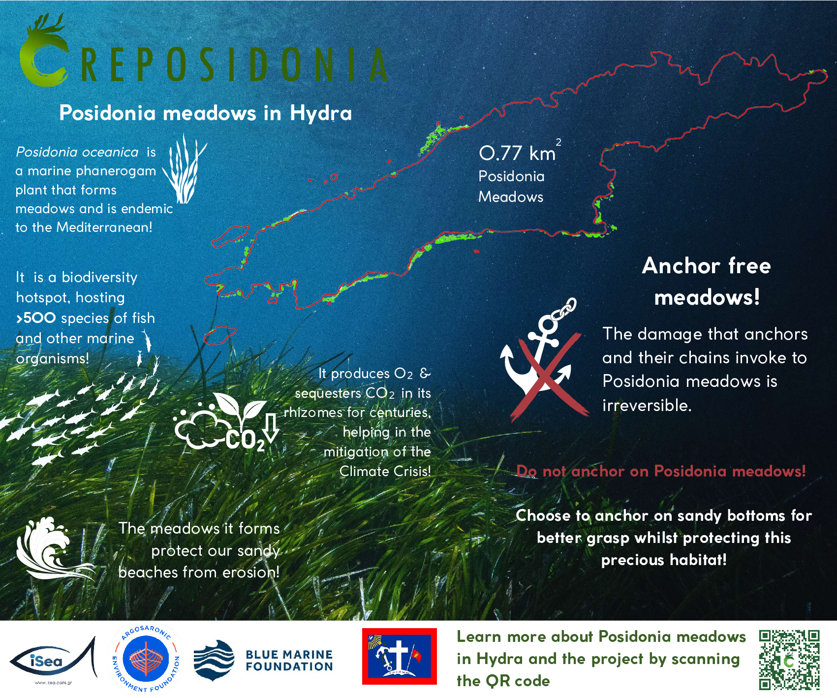 Hydra-Reposidonia-EN.pdf