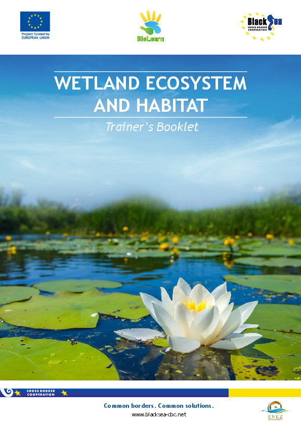 Trainer Wetland Ecosystem and Habitat