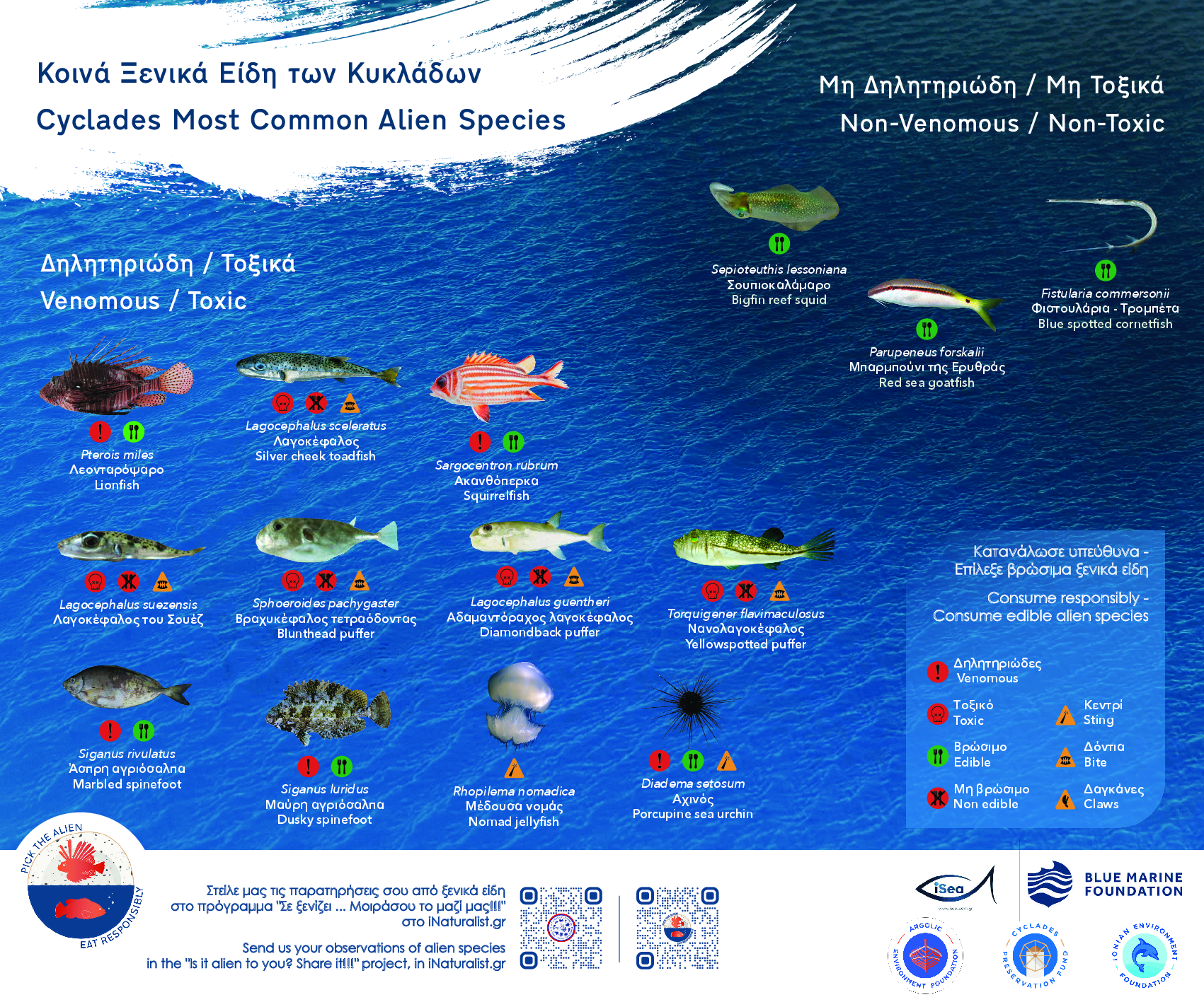 Cyclades most common alien species
