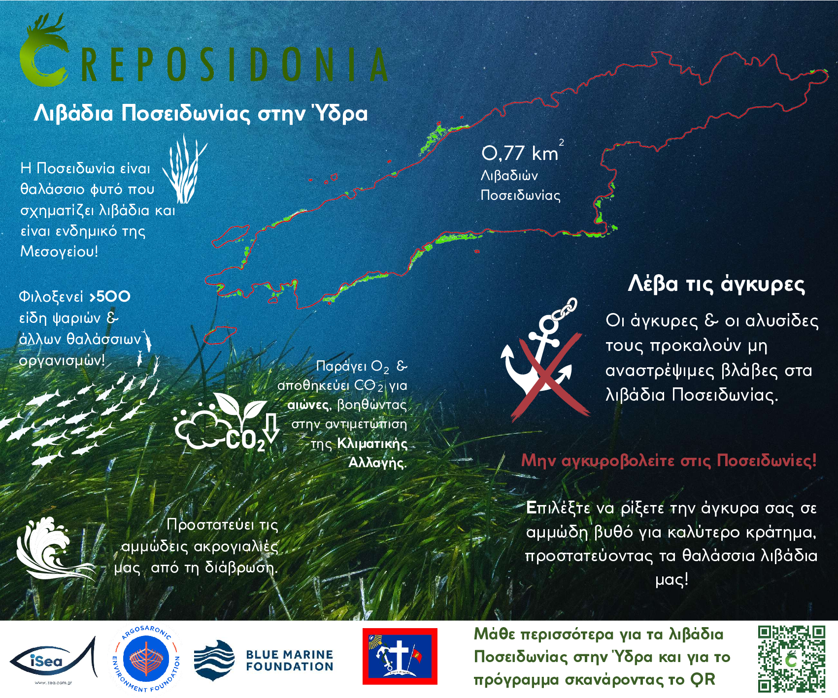Hydra-Reposidonia-GR.pdf