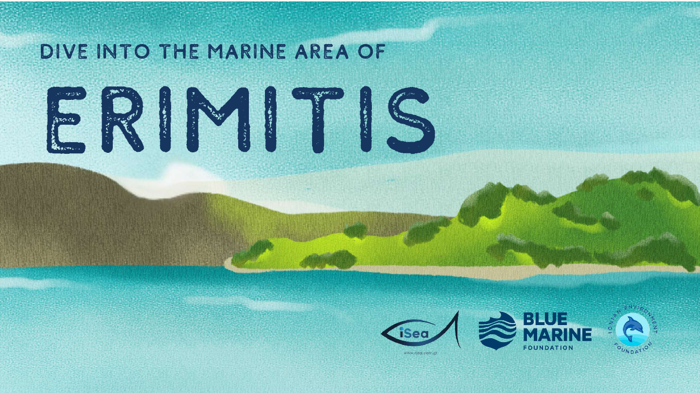 Classroom Presentation (ages 5–10)